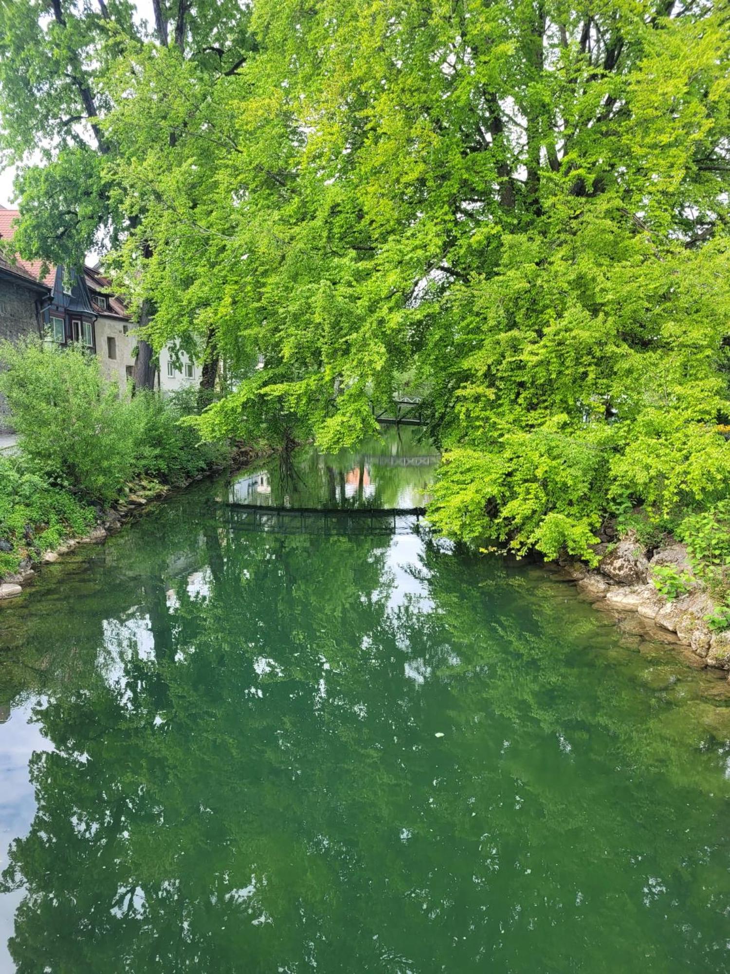 Allgaeublick Lägenhet Wangen im Allgäu Exteriör bild