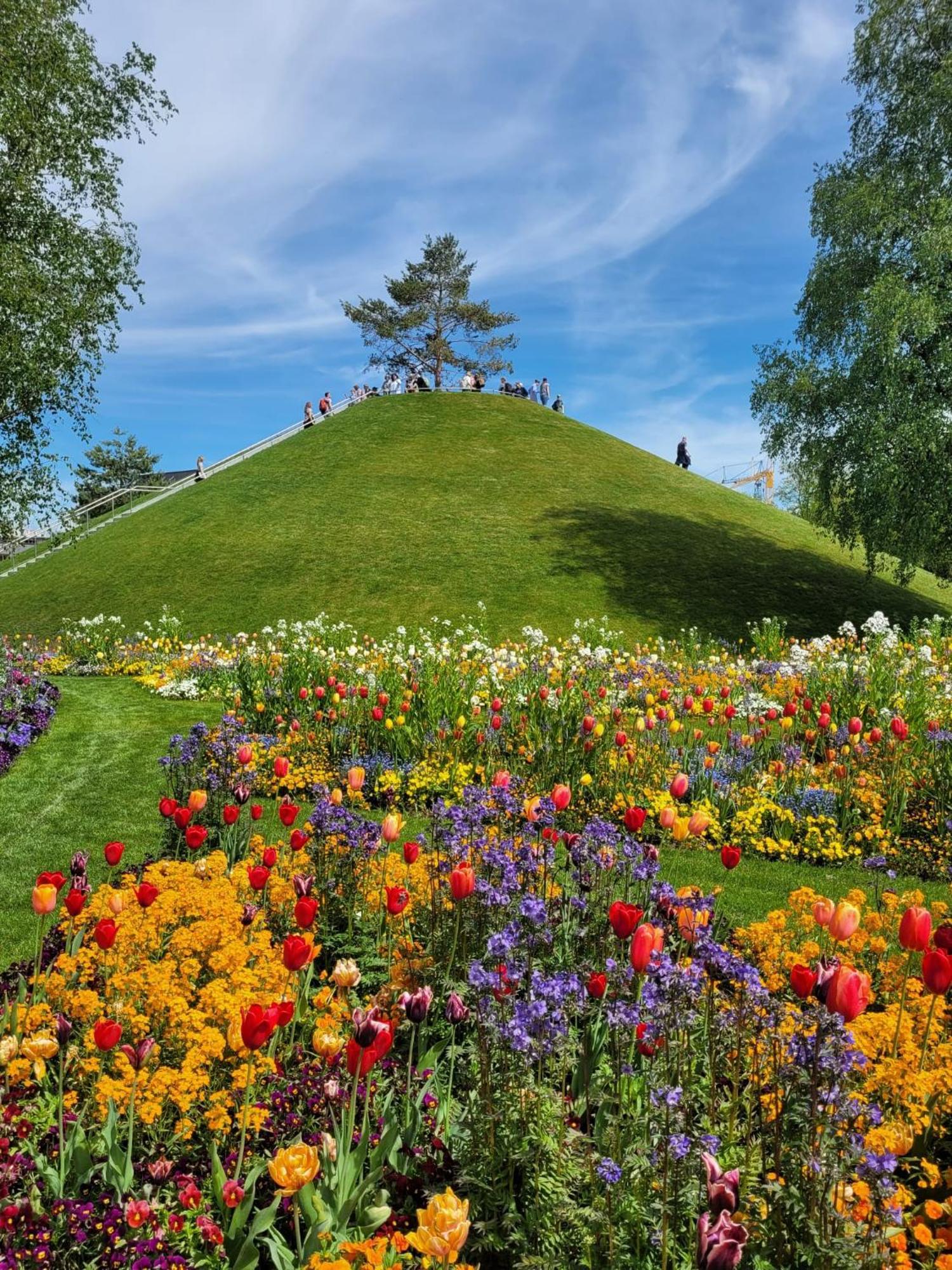 Allgaeublick Lägenhet Wangen im Allgäu Exteriör bild